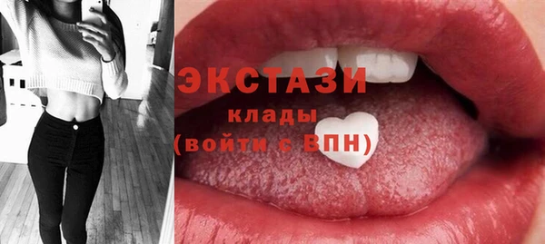 крисы Богородицк