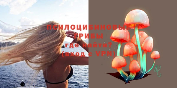 скорость Богданович