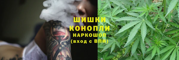 крисы Богородицк