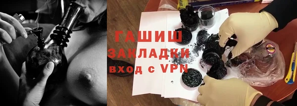 крисы Богородицк