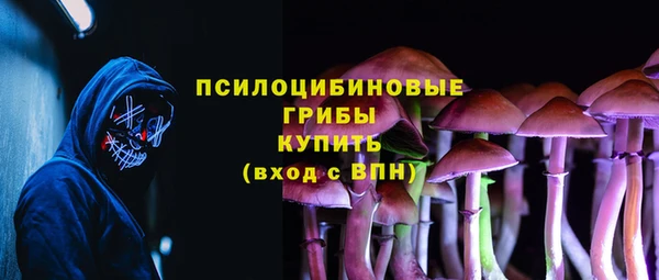 крисы Богородицк
