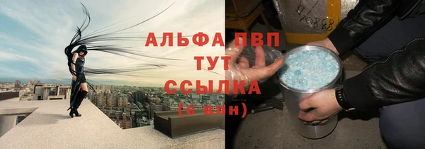 СК Богородск