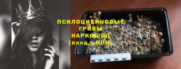 СК Богородск