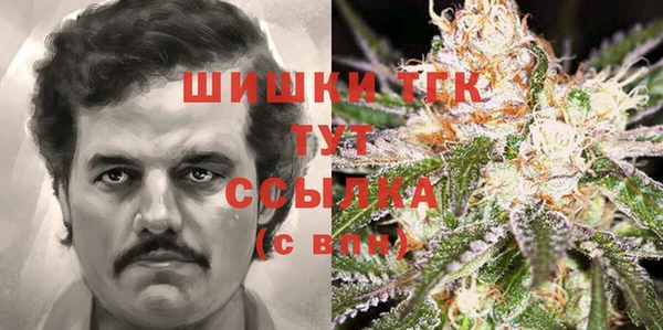 крисы Богородицк