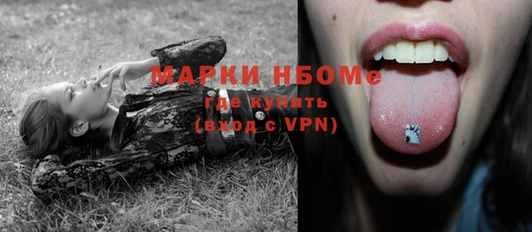 СК Богородск