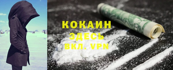 крисы Богородицк