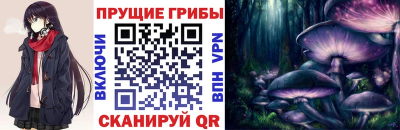 маркетплейс формула  наркотики  Тюмень  Псилоцибиновые грибы MAGIC MUSHROOMS 